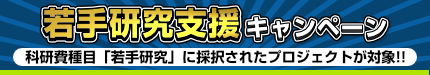 若手研究支援キャンペーン　詳細ページ